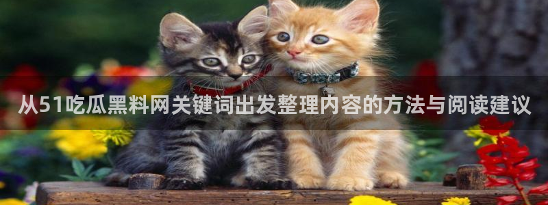 理性吃瓜后续进展